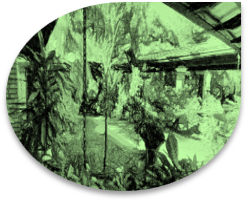 Infraestructura CICM